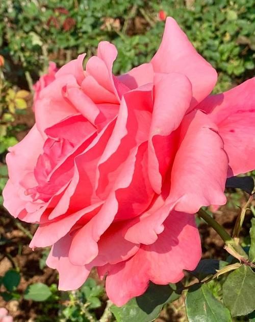 老年|喧嚣过后，一切归于平静