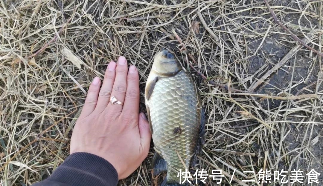 上几条鱼就停口？冬季野钓最大的难题，唯有这样解决才对路