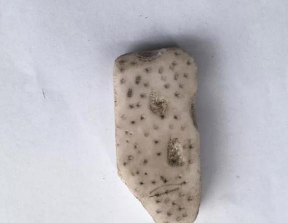 橡皮擦定律|“橡皮擦定律”火了,你家孩子是学霸还是学渣?一看橡皮就知道了