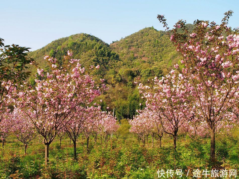 桐庐天子地，集樱花林、溶洞、湖泊峡谷的小众目的地，人少景美