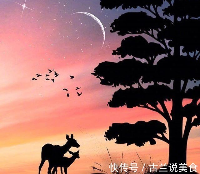 许江河|妻子怀孕五个月男人要求实行AA制,孩子生下来全家后悔了