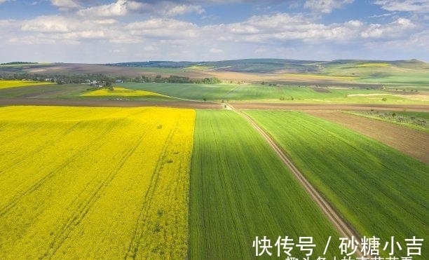 相爱|往后9天，桃花降临，聚敛财富，全力出击，一生富贵，仍坚定相爱