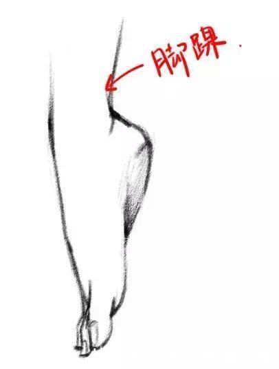 结构简|怎样才能画好人物腿部结构?零基础小白必看的干货教程