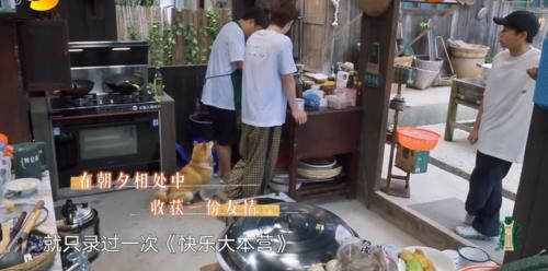 向往5|《向往5》艺兴和黄磊聊天时为何主动提起杨紫？背后原因非常逗趣