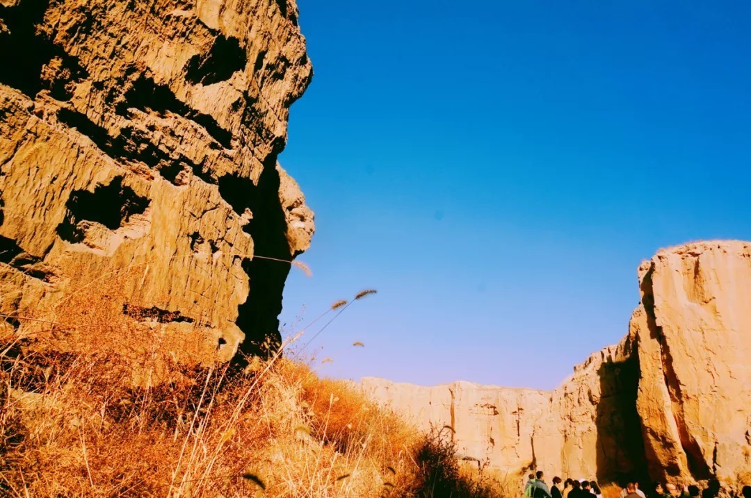 脚踏|一路银川,水洞沟遗址脚踏黄土来,机关四起藏兵洞