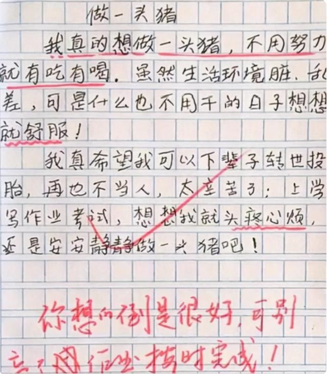 同桌|小学生作文《我的理想》走红！老师善意提醒：小心你的同桌