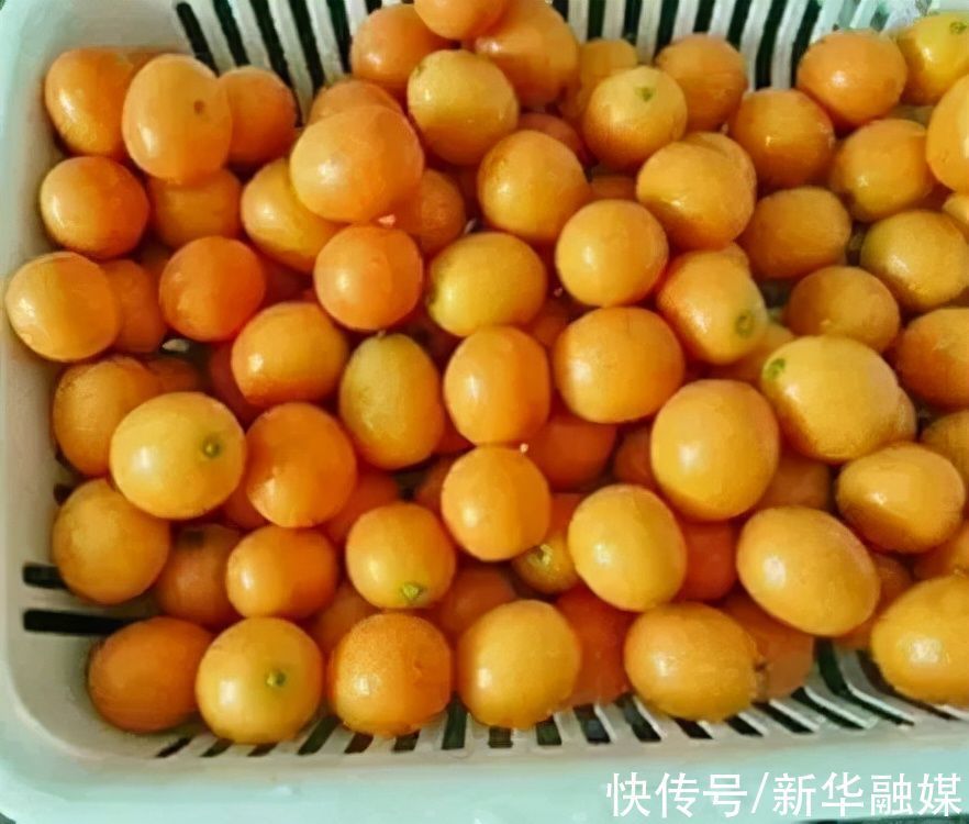 金桔酱|把它蒸熟,只吃一次,缓解咳嗽非常管用!老人小孩都能吃