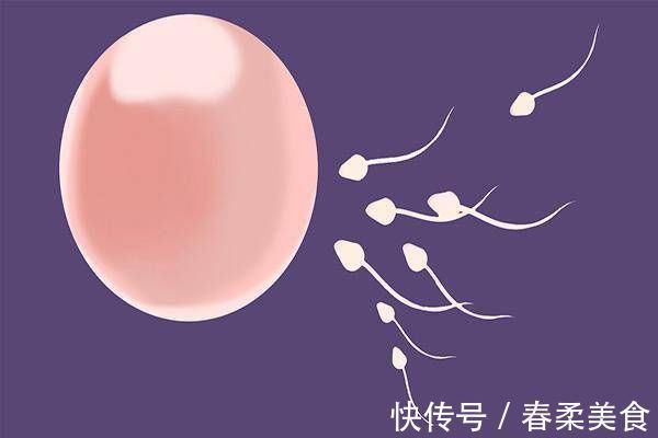 女性身体|进入女性身体后,那些没能和卵子碰头的“小蝌蚪”,去了哪里
