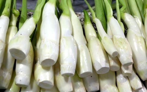 春季养生，推荐几种食物，美容养颜，排毒护肤，肌肤更细腻