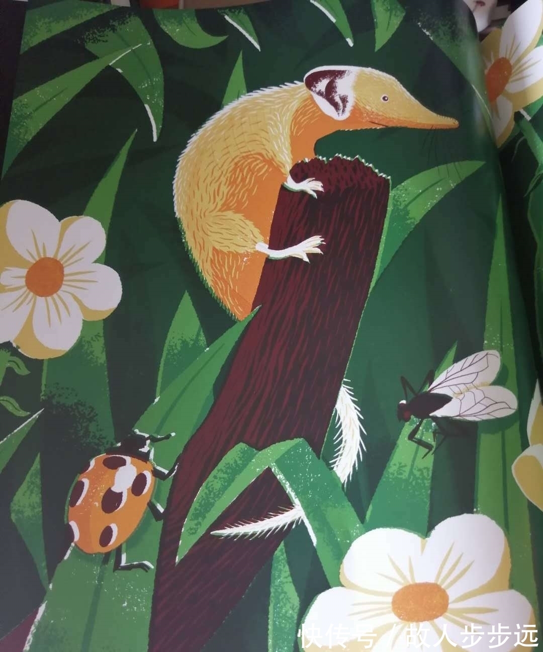 孩子们!一本很有“骨气”的大书,帅气地告诉你10项世界之最