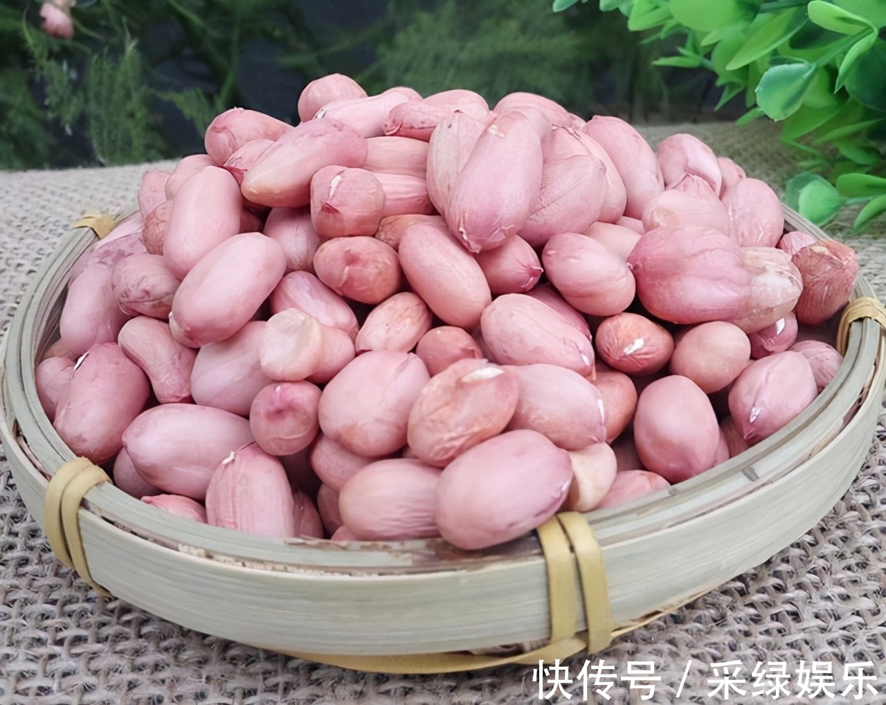 营养物质|生花生和熟花生,哪个营养更高注意这5类人最好少吃,要听劝