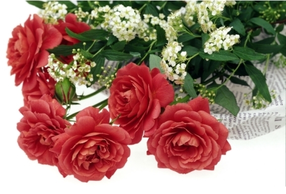 心扉|10月份,幸运满满,桃花满满,打开心扉,感情稳定,生活越来越好