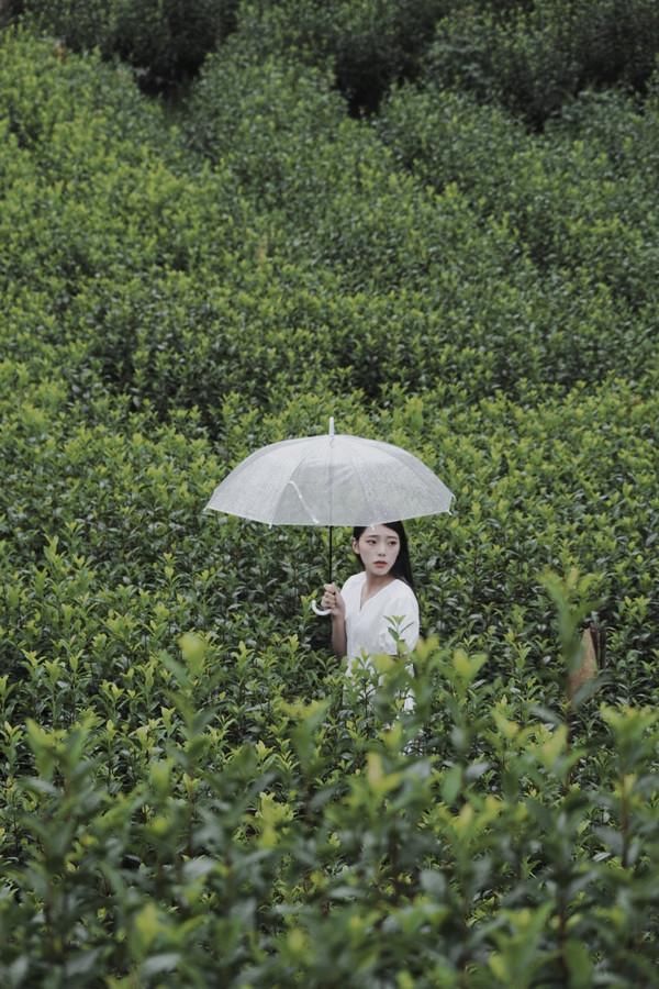 木门|国庆去哪儿，广元旺苍游红色旅游胜地，忆先辈峥嵘岁月