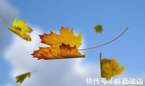 虫子|如何让孩子远离手机,这几乎是唯一的方式