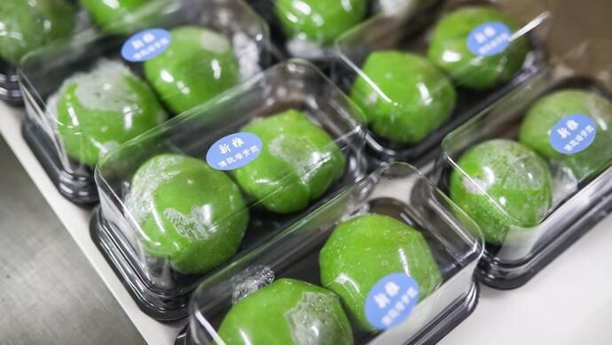 给青团上色绝非艾草的独门绝技，名菜“草头圈子”的主角也可以