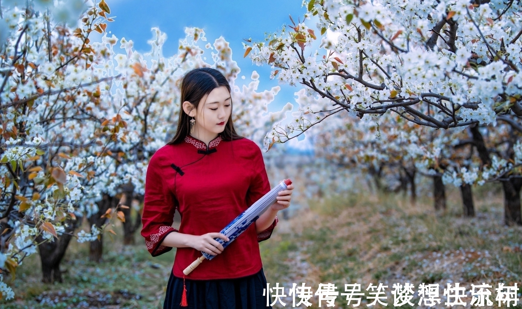 小雪@诗·八首丨横风瘦竹半窗月,玉影残枝一笔勾