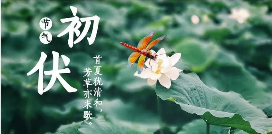 穴位|初伏来了!排寒湿、通经络的好时机,赶紧灸起来!三伏灸一灸,疾病绕道走!
