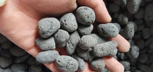 花盆里加这些东西,再也不怕花卉烂根黄叶了