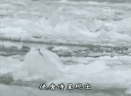 数学@9部孩子必看的顶级纪录片,知识点满满,推荐收藏