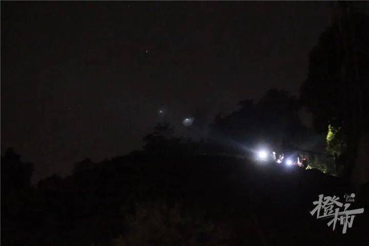 “跑得像飞一样！”凌晨1点，无人机发现第三只豹子，合围失败