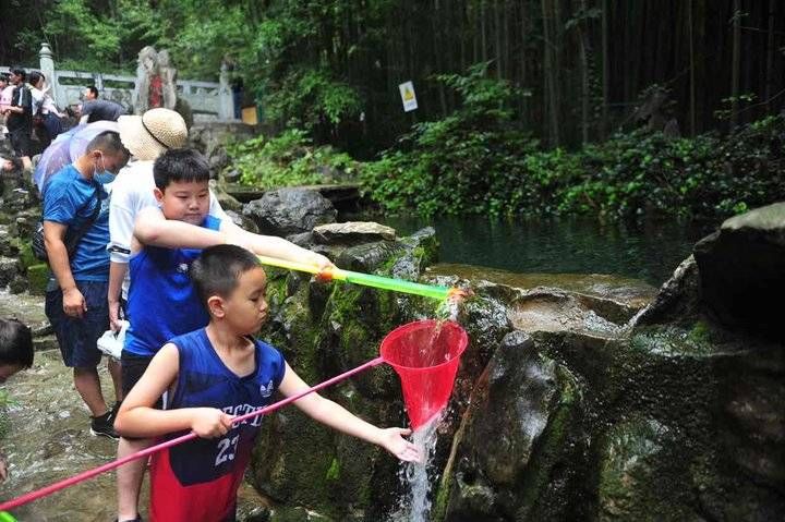 秋老虎|苍翠竹林当以涌泉相报，济南这处森林公园成为新晋网红打卡地