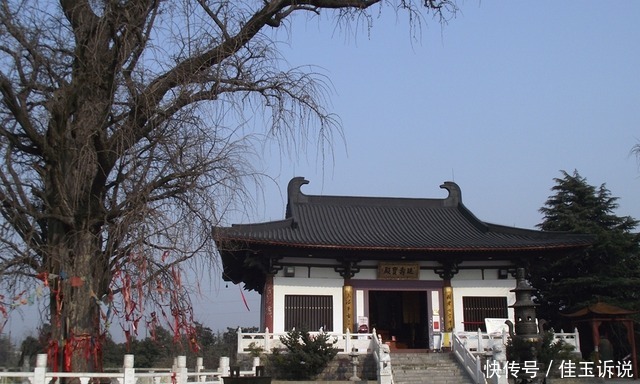 南京汤泉镇一寺庙,拥有千年银杏,古色古香