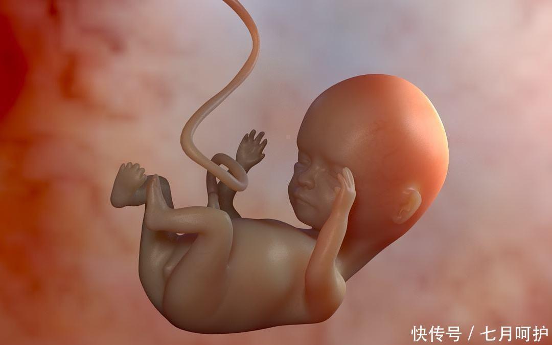 胎儿|同样怀孕,孕妇的肚脐为啥有凹有凸,大多数人都理解错了