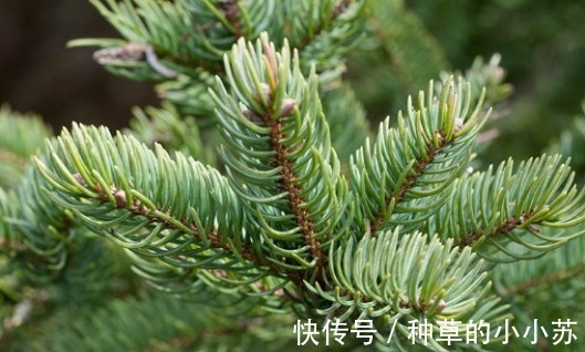 真心|建议女人：遇到这8款洗面奶，别犹豫！虽平价但是真心好用