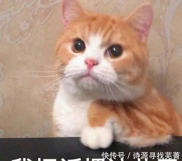 推荐指数|看大戏、坐花轿、投壶射箭……2021年的快乐一次性帮你打包!