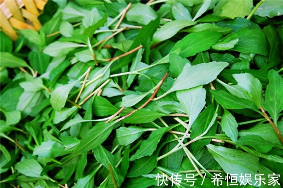 胡萝卜素|女性想要皮肤好,坚持吃三种美食,抗氧化,淡化色斑,吃了显年轻