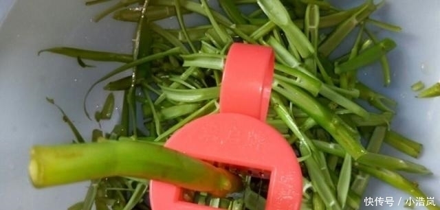 爆炒|这菜是个宝,看见再贵也要买,吃一次等于给肠胃洗个澡!