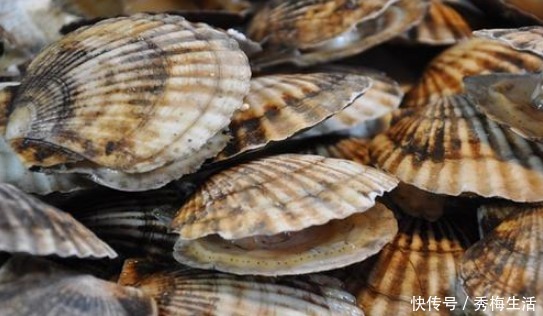 蒜蓉蒸扇贝|蒸扇贝,冷水上锅就错了,学学海边人做法,肉质鲜嫩,饱满不回缩