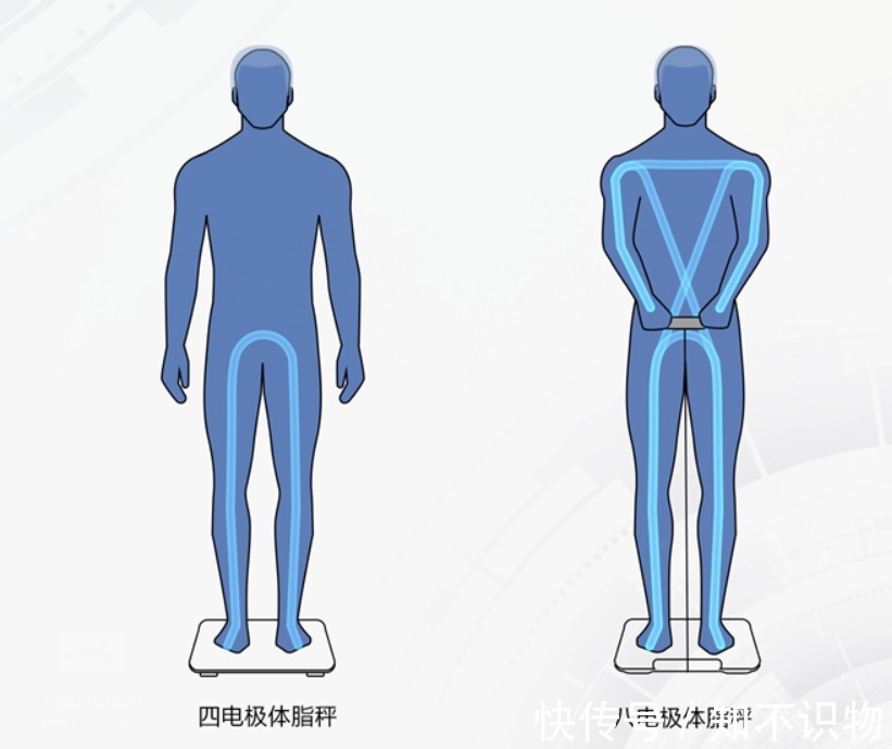 pro3|华为体脂秤2pro和3pro区别，就是，没有区别
