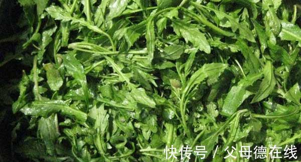 香椿|农村最“热门”的6种野菜,营养丰富味道鲜美,还能治白头发!