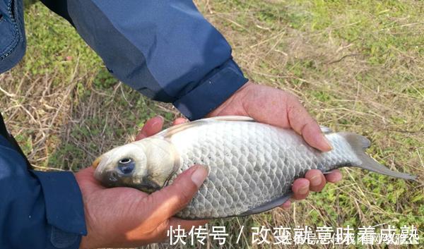 钓位|冬季钓鲫鱼,先别着急下竿,两大策略帮你找鱼窝,不愁钓不到鱼!