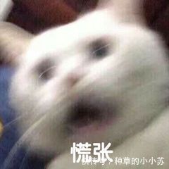 皂基|国内6大憋屈洗面奶,明明好用又不贵,却“输在包装”,真讽刺