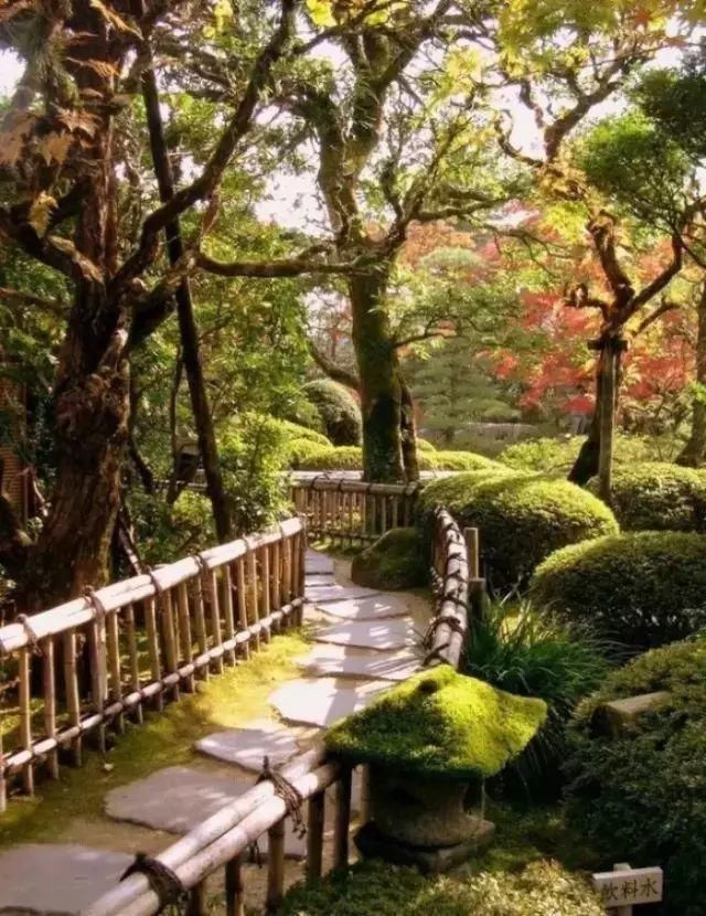 这才是花园应有的样子！