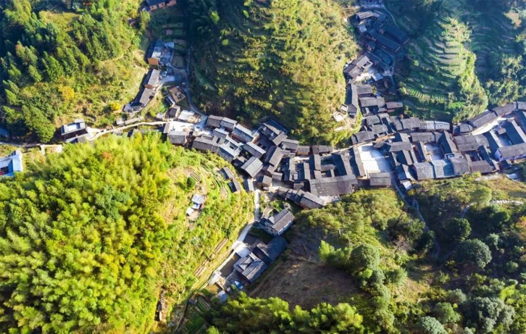 蚊子|福建深山发现一个客家村寨，近千年来从没发现蚊子，成未解之谜