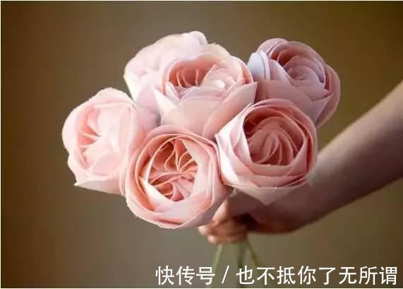 龟甲牡丹|世界上最名贵的花,一盆就是一座房子!