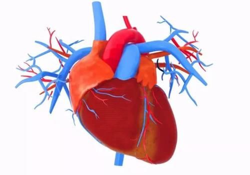 营养物质|吃花生是升血糖还是降血糖？不妨听听医生怎么说