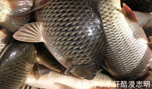 冬钓渔获太少怎么办从这4点入手,渔获总比别人多一倍