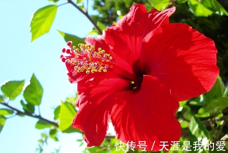 朋友之间|本周运势欣喜多乐,财运亨通的3大生肖