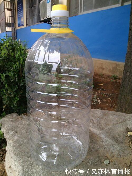 家里的油桶作用大，别扔，一个月不愁菜吃