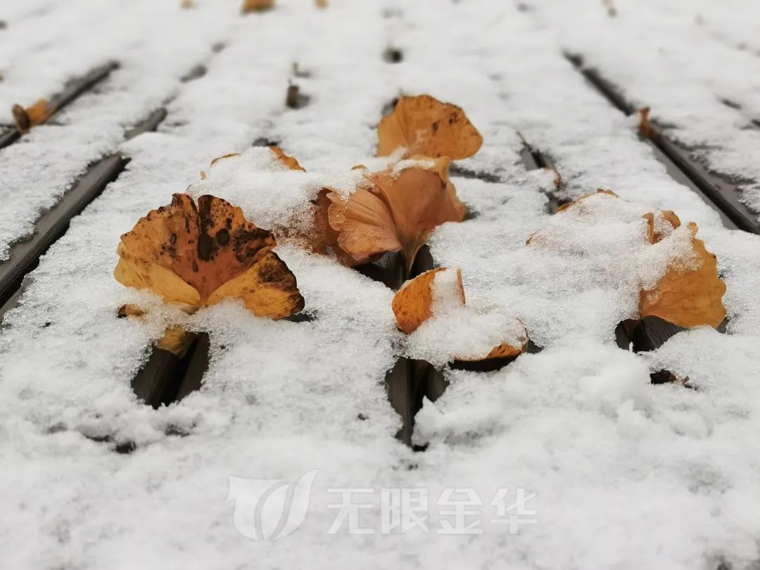 新闻记者|浙江多地下雪！一地积雪厚度达3公分……