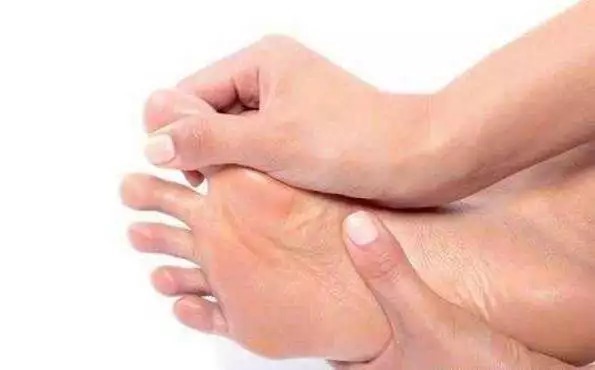 脏腑|寒从脚下起,病从脚底除!