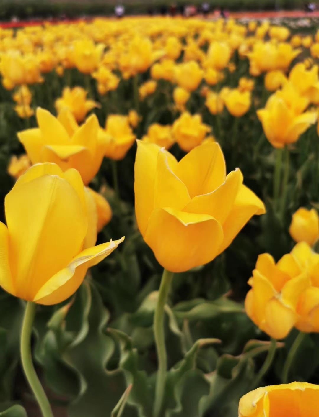 小考|春秋年号由来小考