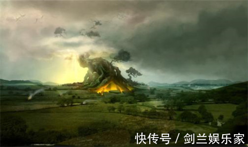 大红袍$中国价格最“贵”的两棵树一棵配备24小时警卫,一棵投保1个亿