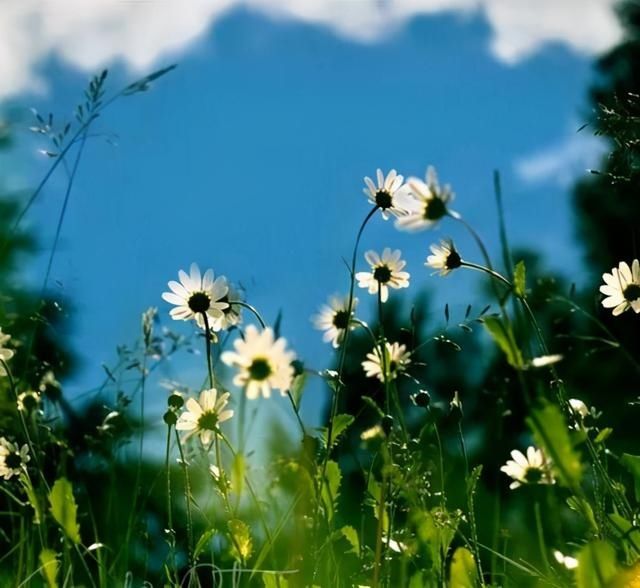  不动|王阳明：一切外事亦自能不动，久久自然有得力处