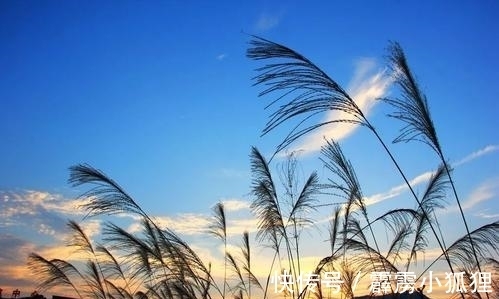 诗人|宋代的一首佳作，彰显淡泊襟怀，颈联仿佛两幅生动的写意图画