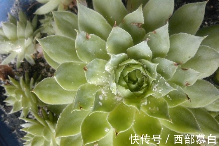 星座|7月中旬，桃花运上身，将会牵手一直寻觅的爱情的三大星座